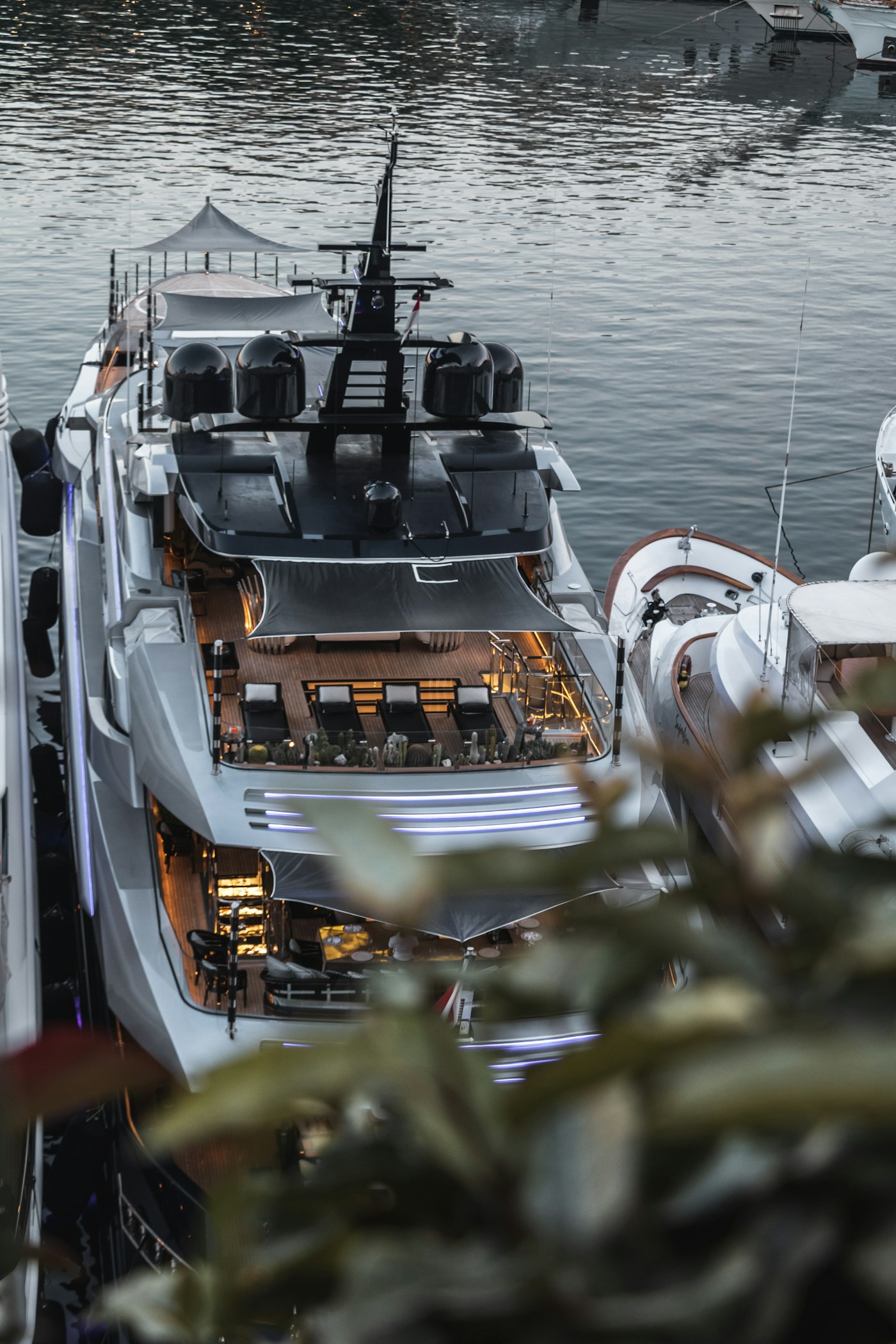 Novurania Chase 30